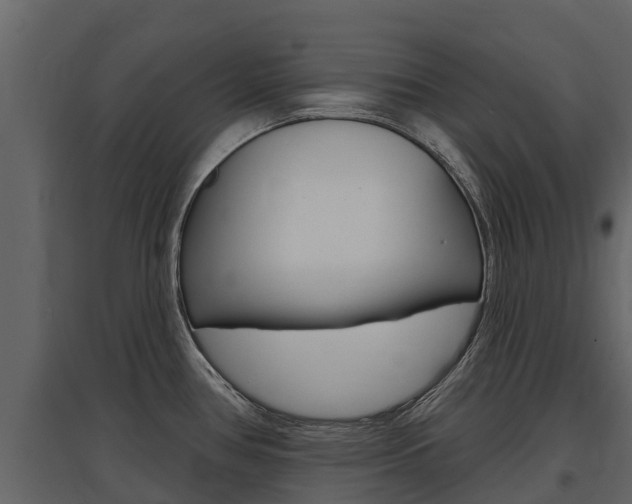 X0000097811386200803140749