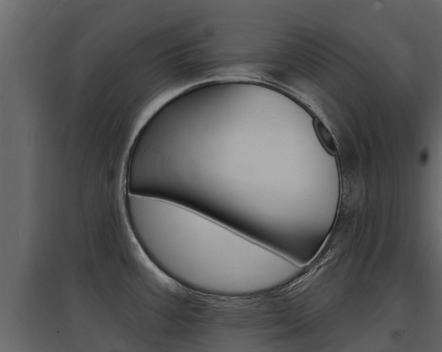 X0000097811387200803140749