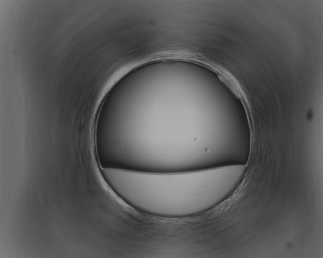 X0000097811389200803140749