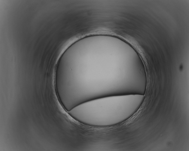 X0000097811390200803140749