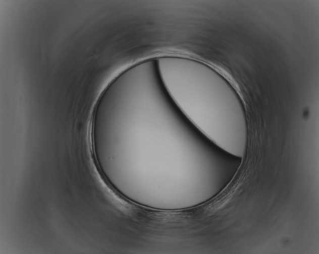 X0000097811391200803140749