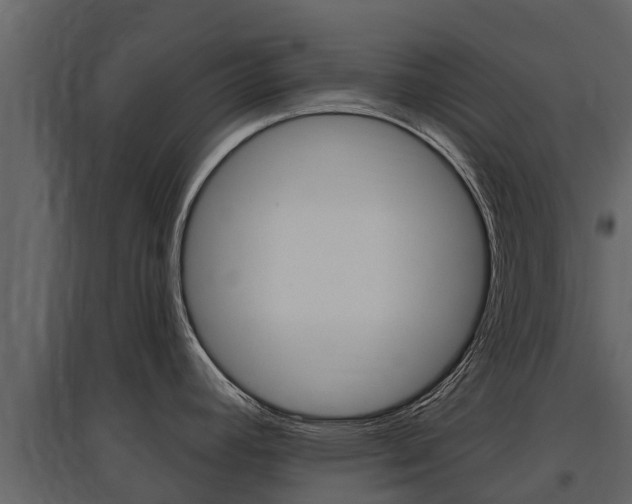 X0000097811392200803140749