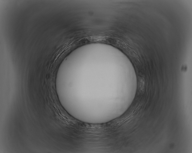 X0000097811393200803140748