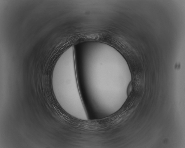 X0000097811394200803140748