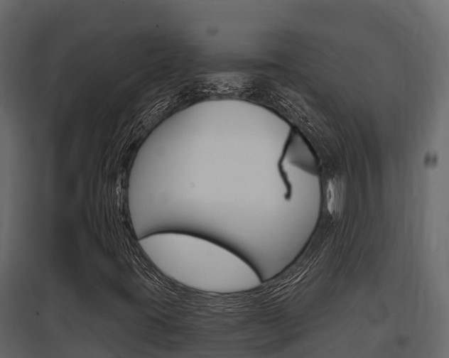 X0000097811395200803140748