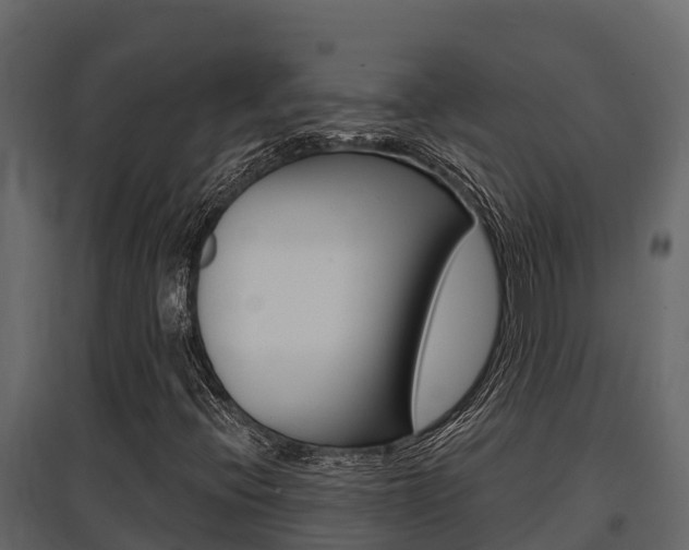 X0000097811396200803140748