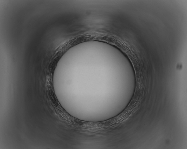X0000097811397200803140748