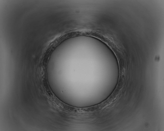 X0000097811398200803140748