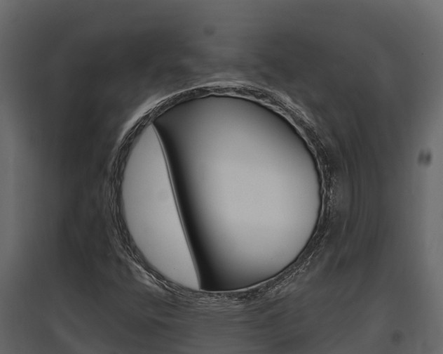 X0000097811400200803140748