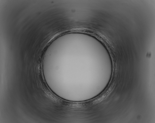 X0000097811401200803140748