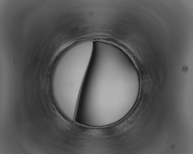 X0000097811402200803140748