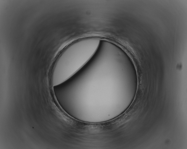X0000097811404200803140748