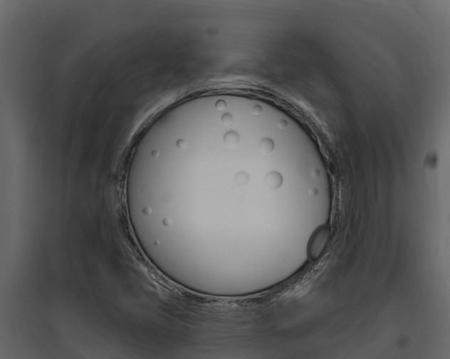 X0000097811405200803140748
