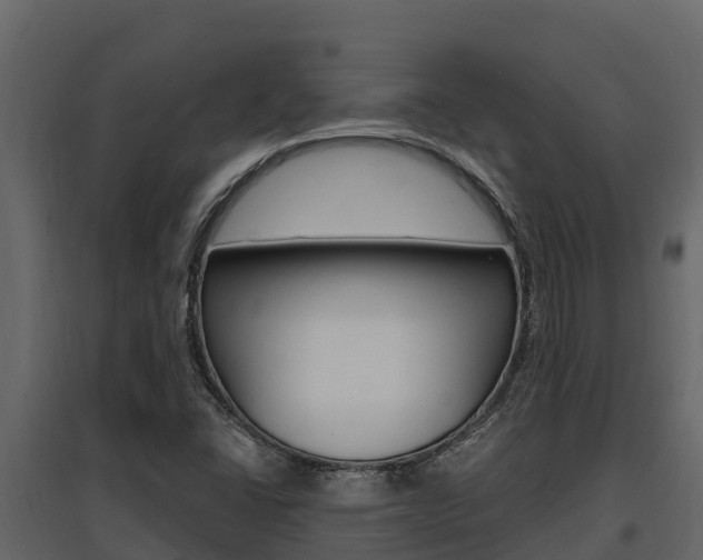 X0000097811406200803140748
