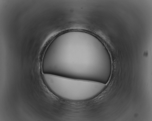 X0000097811408200803140748