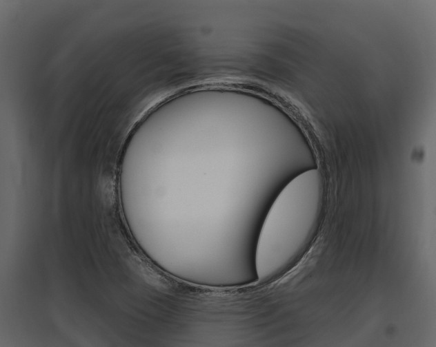 X0000097811409200803140748