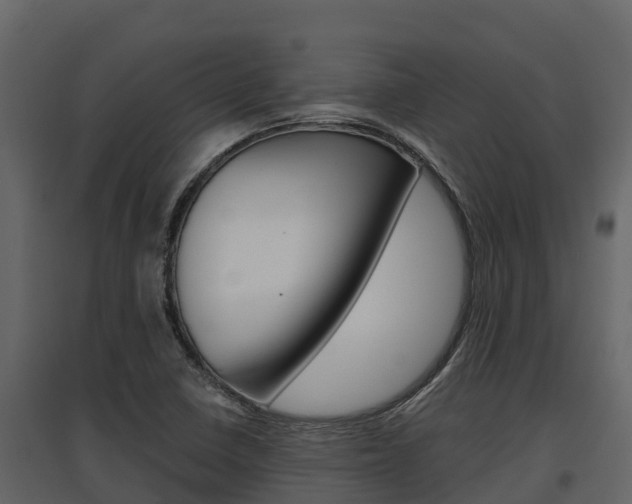 X0000097811410200803140748