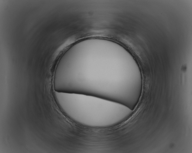 X0000097811411200803140748