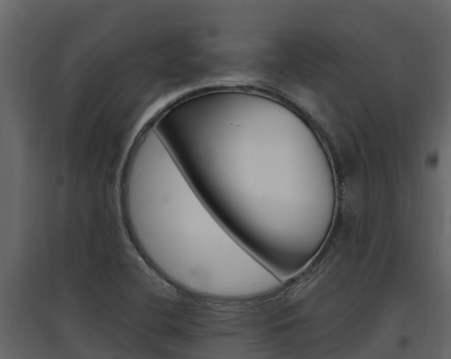 X0000097811412200803140748