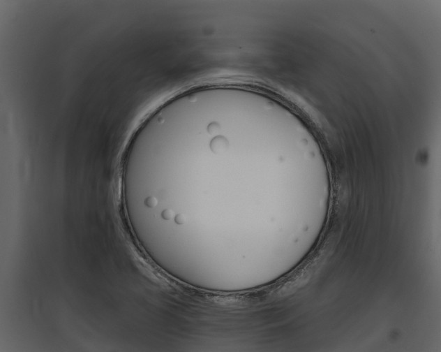 X0000097811413200803140748