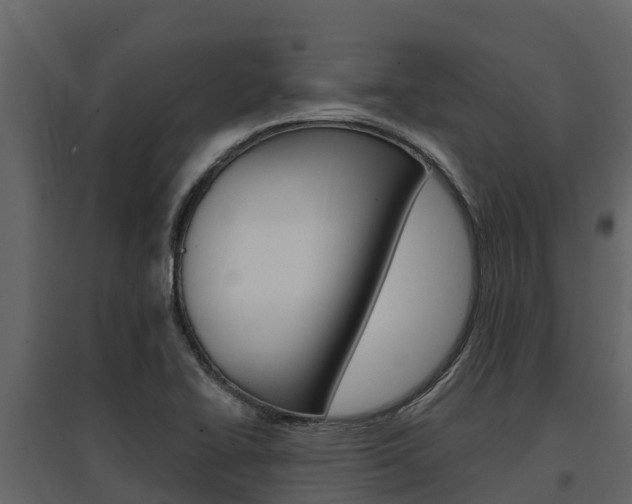 X0000097811414200803140748