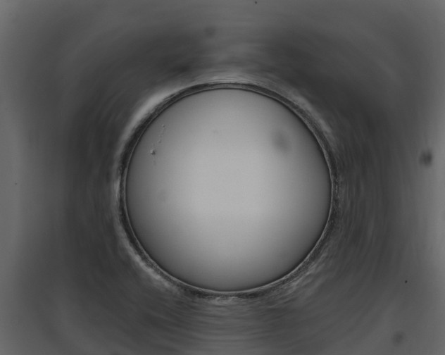 X0000097811416200803140748