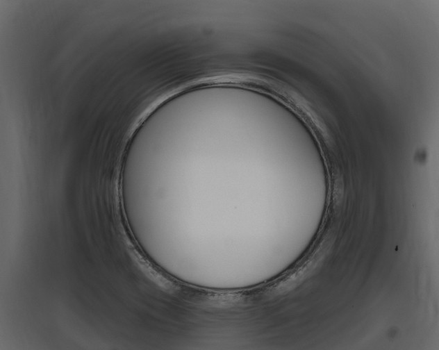 X0000097811417200803140748
