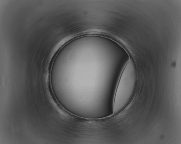 X0000097811418200803140748