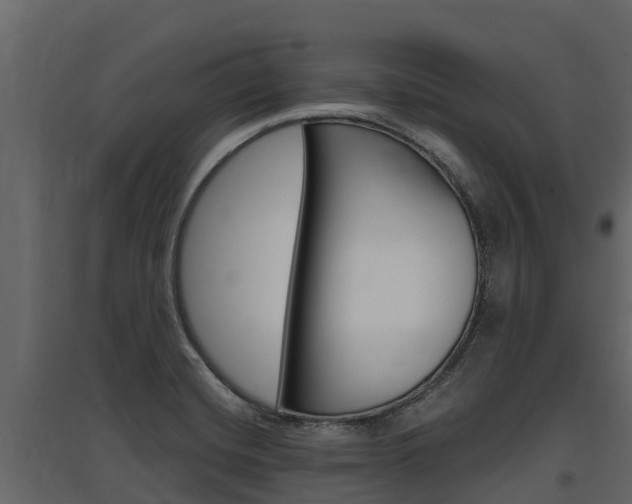 X0000097811420200803140749