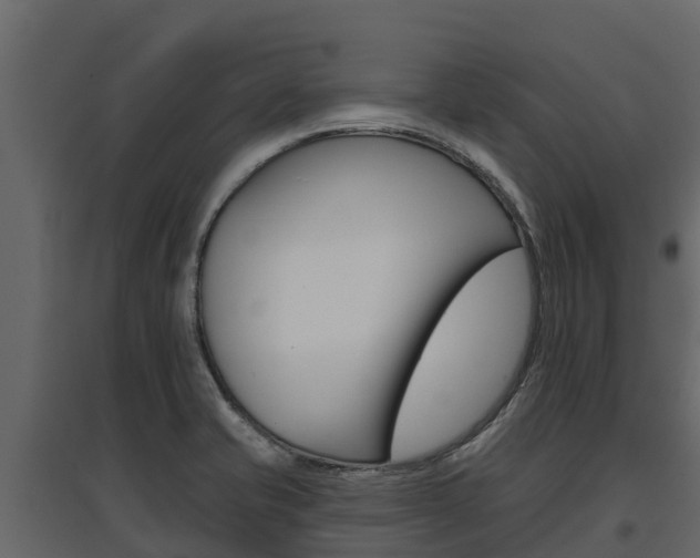X0000097811421200803140749