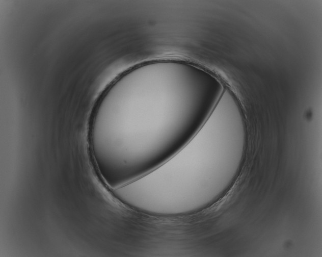 X0000097811422200803140749