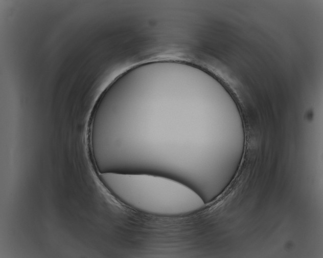 X0000097811423200803140749