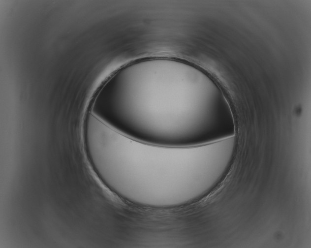 X0000097811424200803140749