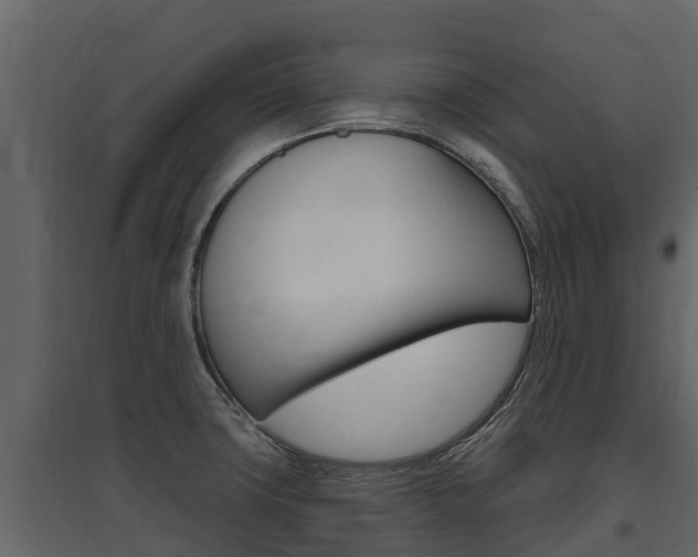 X0000097811427200803140749