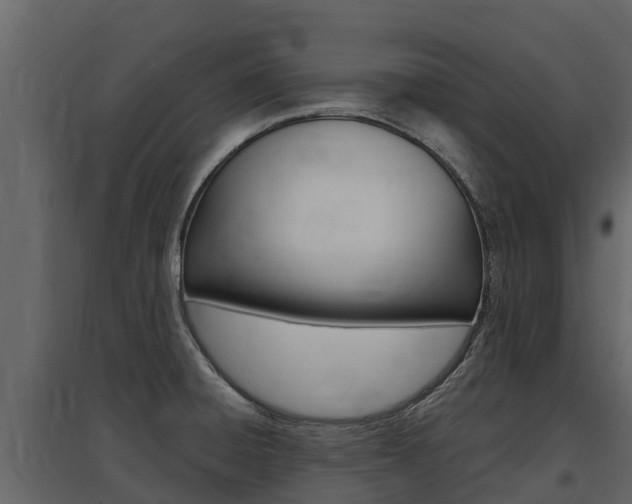 X0000097811428200803140749