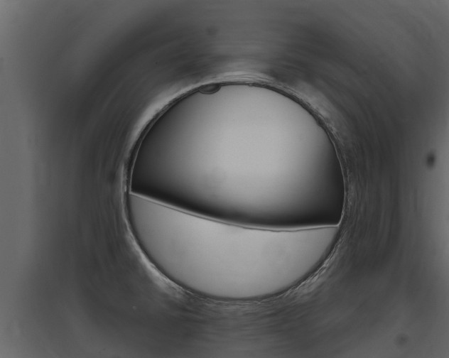 X0000097811430200803140749