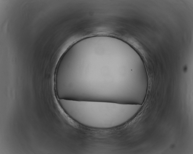 X0000097811431200803140749
