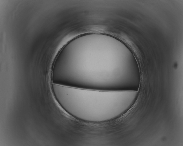 X0000097811432200803140749
