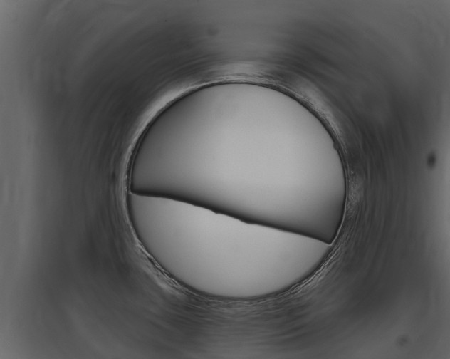 X0000097811435200803140749