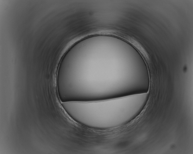 X0000097811436200803140749