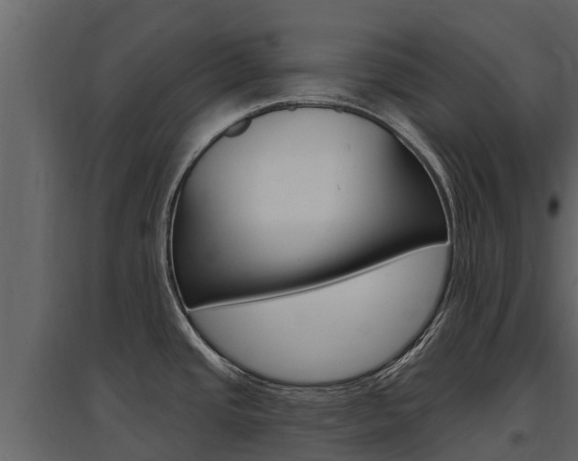 X0000097811437200803140749