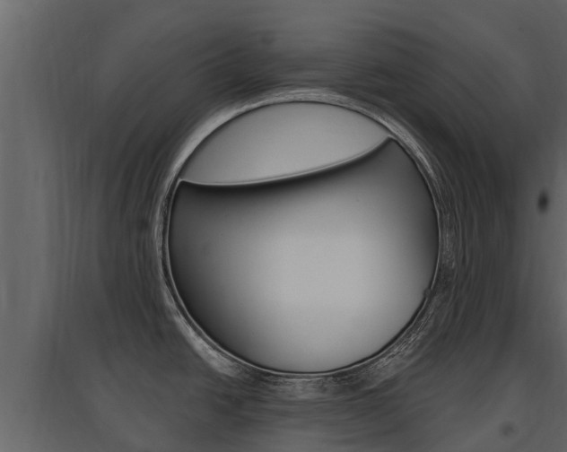 X0000097811438200803140749