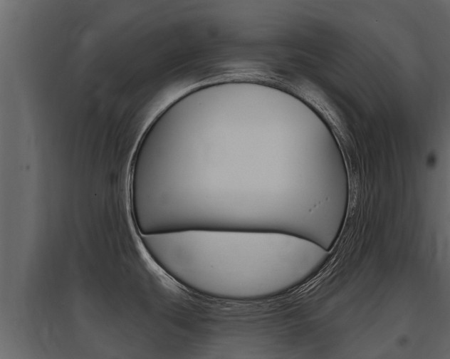 X0000097811439200803140749