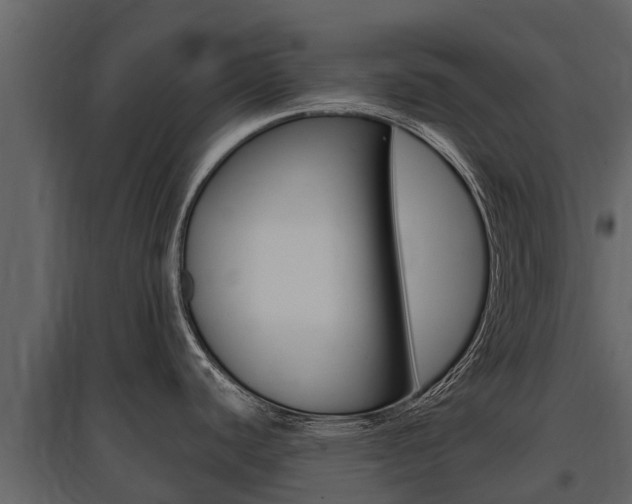 X0000097811440200803140749