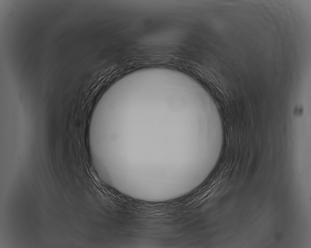 X0000097811441200803140748