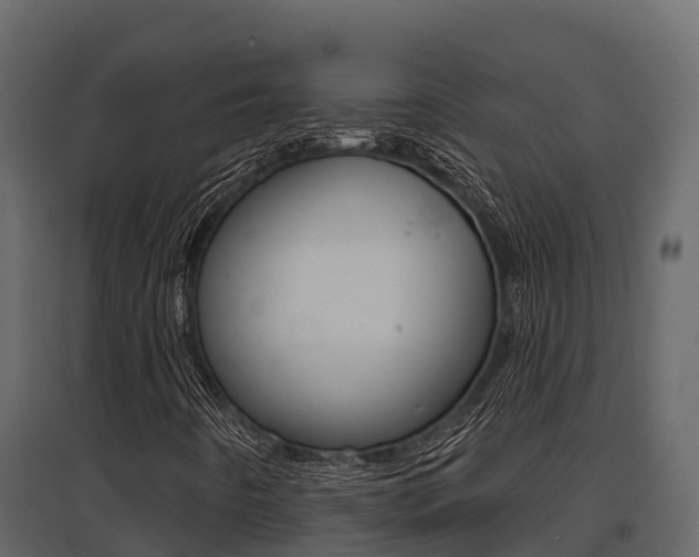 X0000097811442200803140748