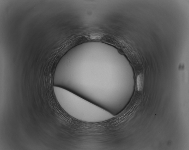 X0000097811443200803140748