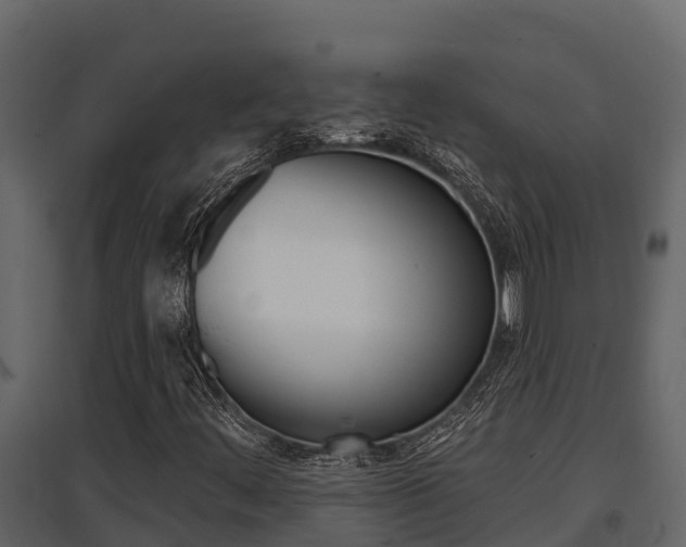 X0000097811444200803140748