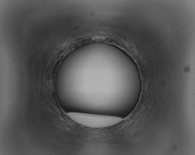 X0000097811445200803140748