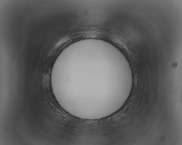 X0000097811446200803140748